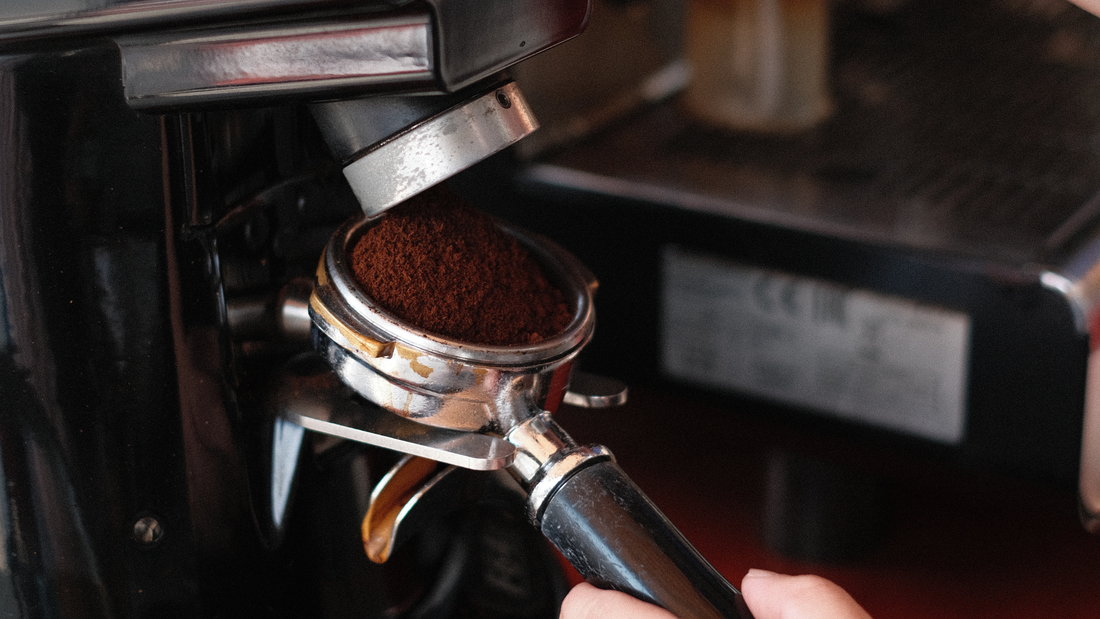 Dark, Medium, or Flavored? How to Choose the Right Coffee Roast Every Single Time