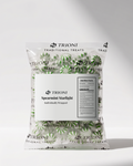 TRIONI Spearmint Mint Individually Wrapped Hard Candy - 2, 3 & 5LB - TRIONI Treats